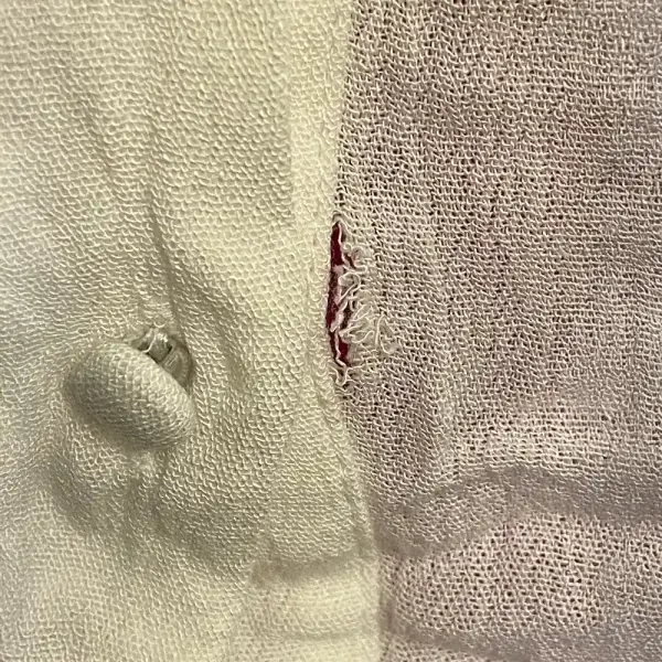 1.STATE Eyelet Blouse White Crinkle Gauze Button Front V Neck