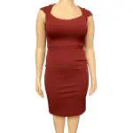 Aqua Burgundy Crepe Bodycon Dress with Pleated Cap Sleeves