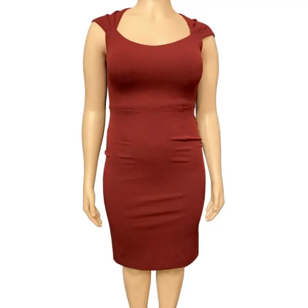 Aqua Burgundy Crepe Bodycon Dress with Pleated Cap Sleeves