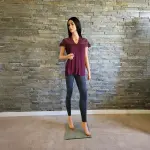 INC International Concepts Lace Trim Top V Neck Cap Sleeves